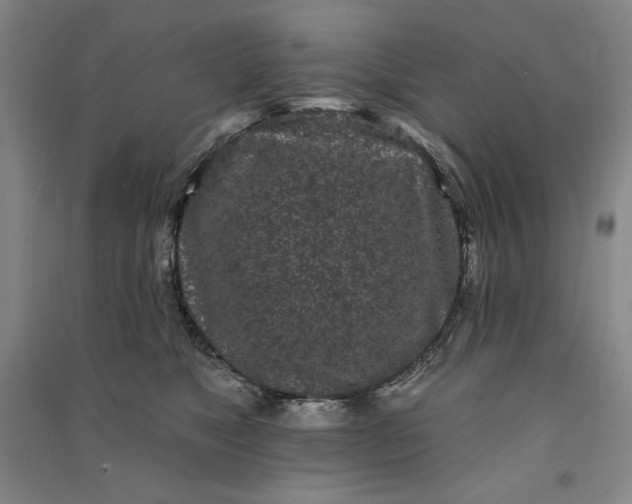 X0000091090517200708201500