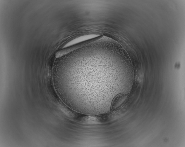 X0000091090518200708201500