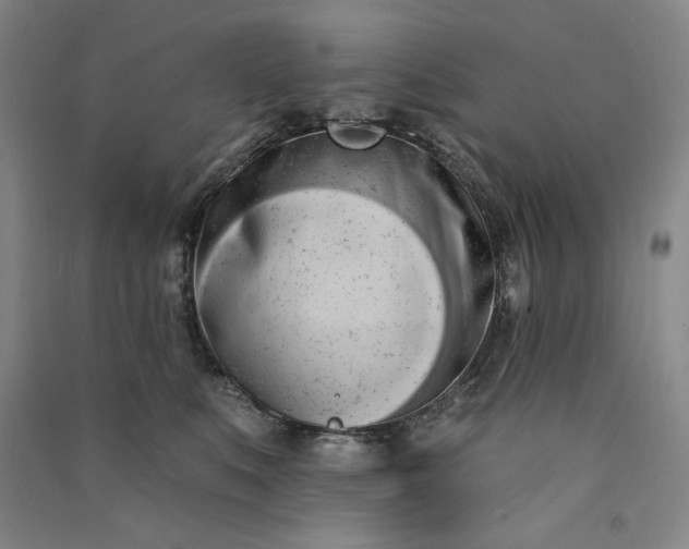 X0000091090519200708201500