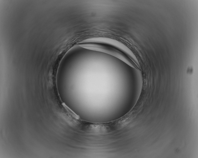 X0000091090520200708201500