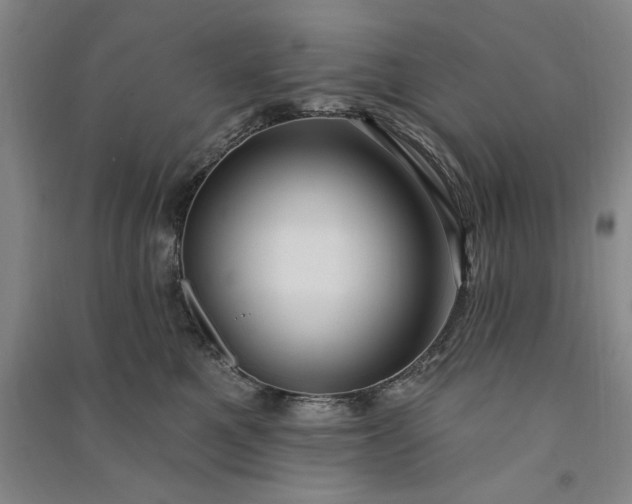 X0000091090521200708201500