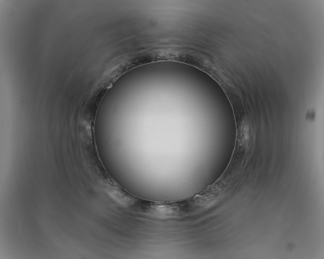 X0000091090522200708201500