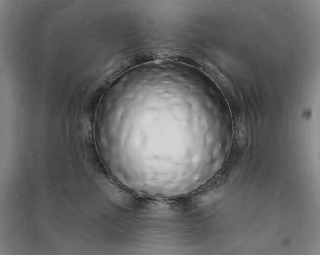 X0000091090523200708201500