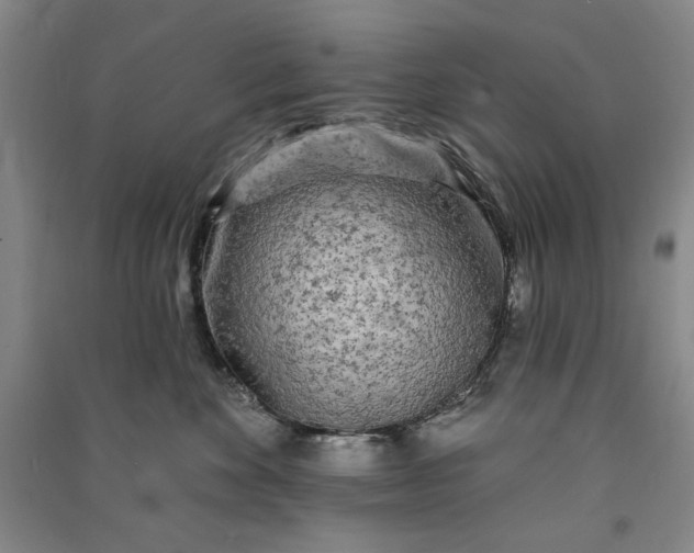 X0000091090524200708201500