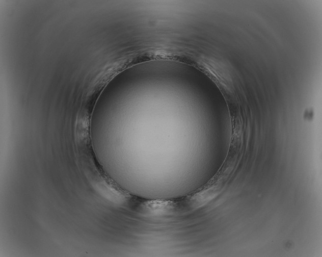 X0000091090526200708201500