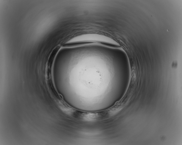 X0000091090527200708201500