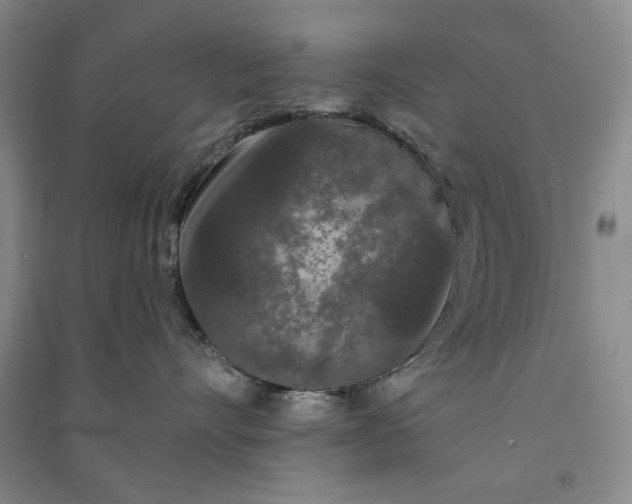 X0000091090528200708201500