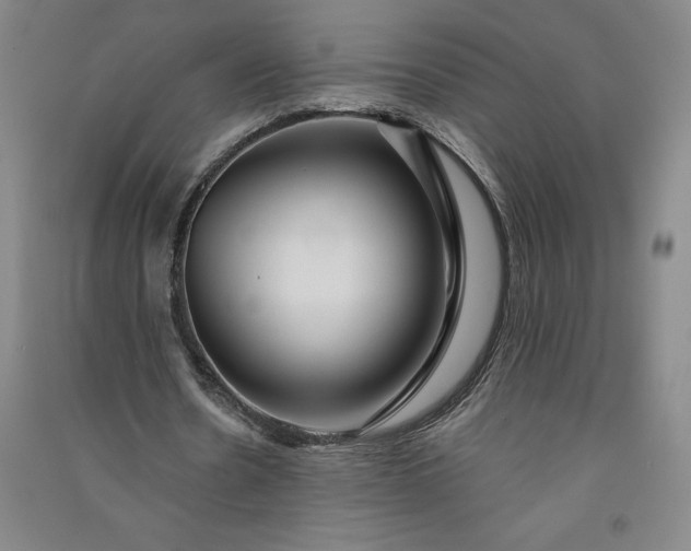 X0000091090530200708201459