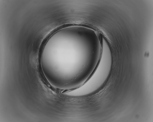 X0000091090532200708201459