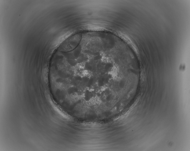 X0000091090533200708201459