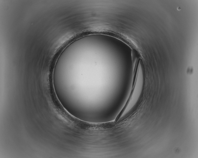 X0000091090535200708201459