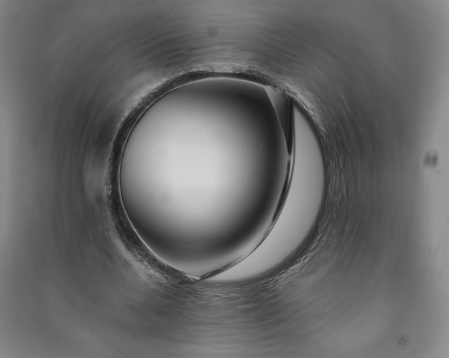 X0000091090536200708201459