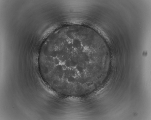 X0000091090537200708201459