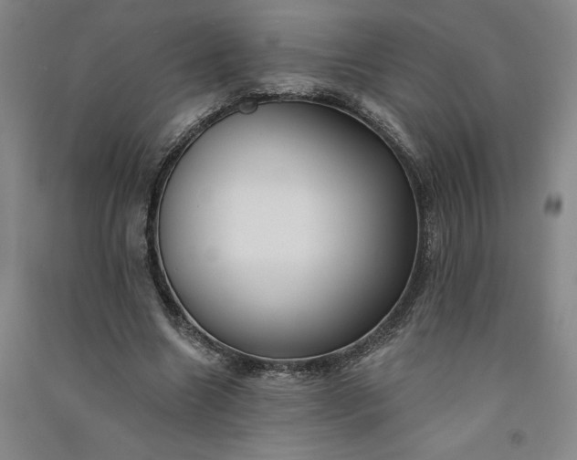 X0000091090538200708201500