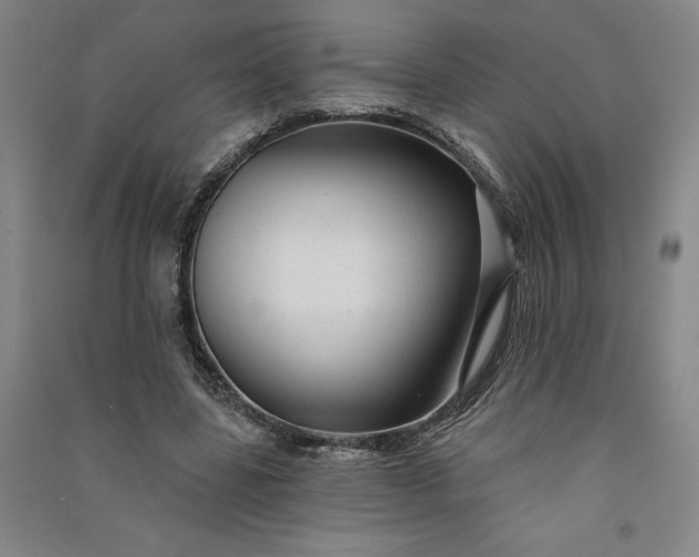 X0000091090539200708201500