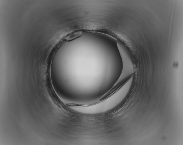 X0000091090540200708201500