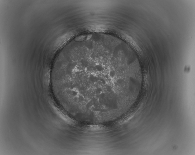 X0000091090541200708201500