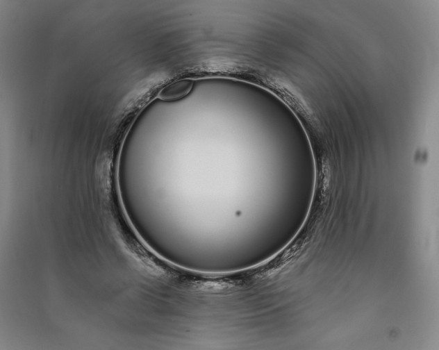 X0000091090542200708201500