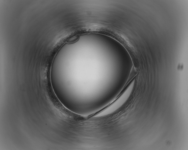 X0000091090543200708201500