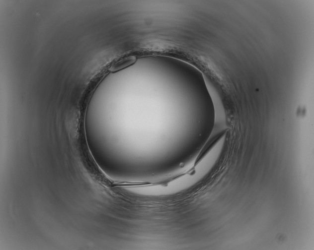 X0000091090544200708201500