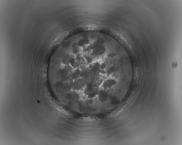 X0000091090545200708201500