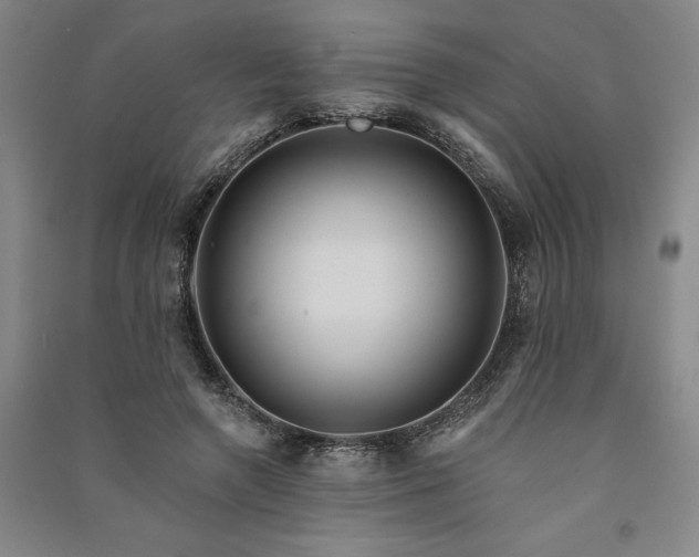 X0000091090546200708201500