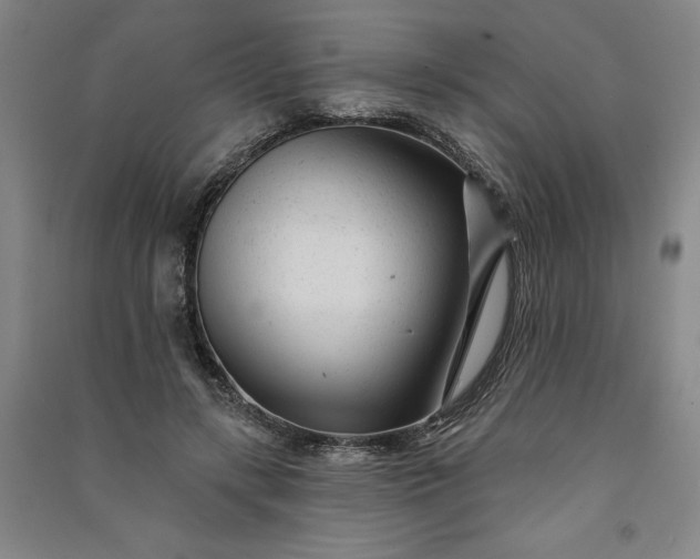 X0000091090547200708201500