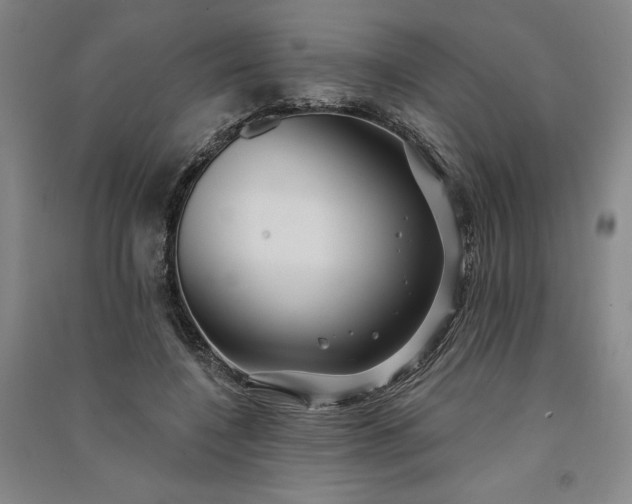 X0000091090548200708201500