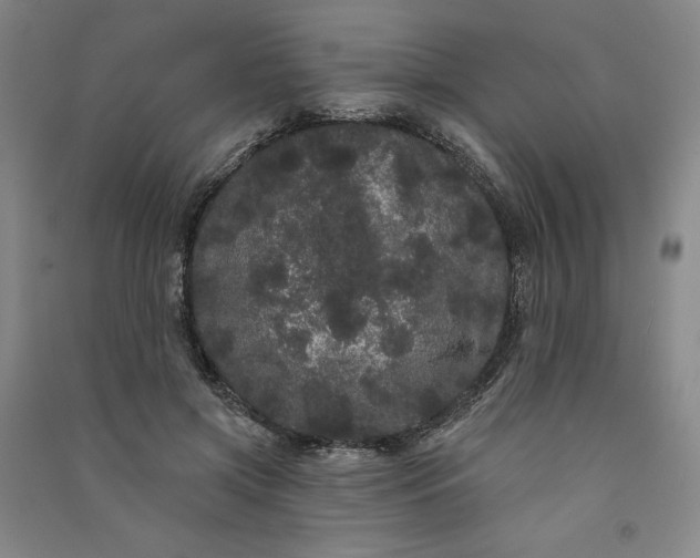 X0000091090549200708201500