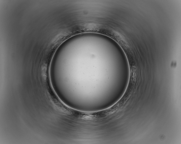 X0000091090550200708201500