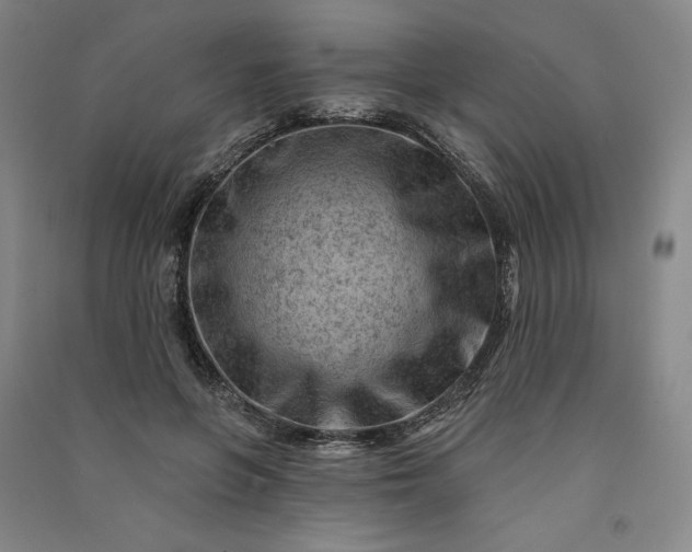 X0000091090551200708201500