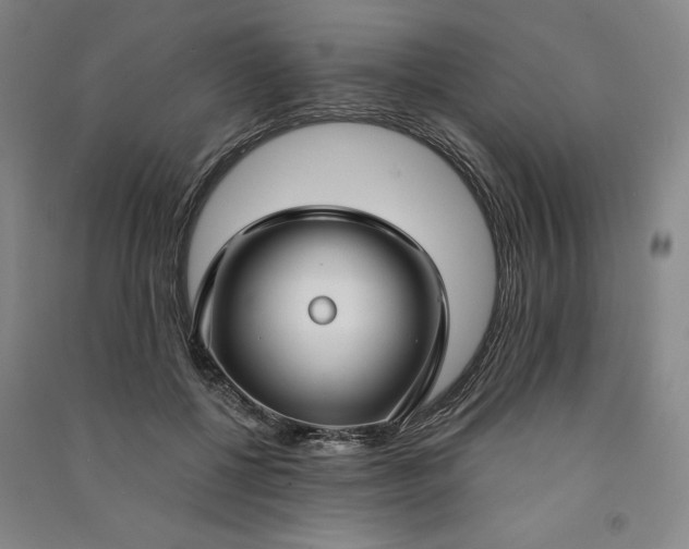 X0000091090552200708201500