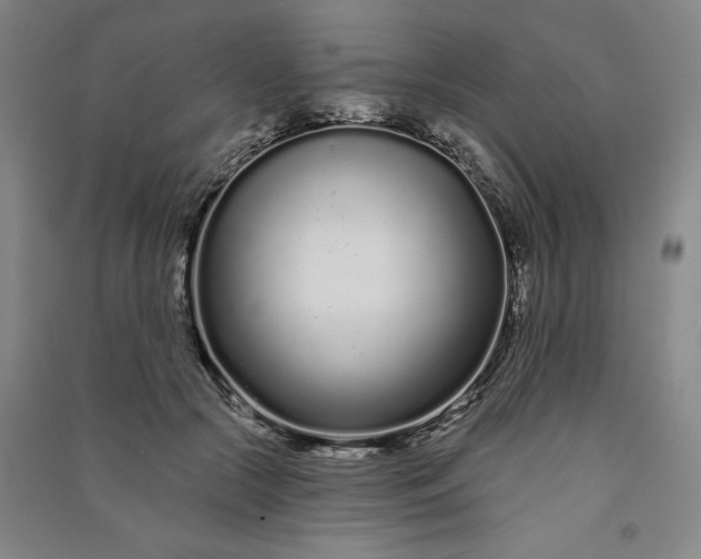 X0000091090553200708201500