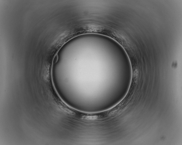 X0000091090554200708201500