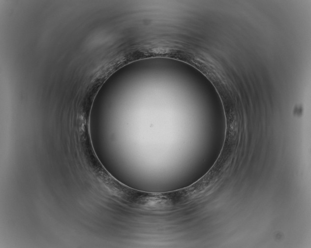 X0000091090555200708201500