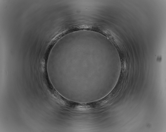 X0000091090556200708201500