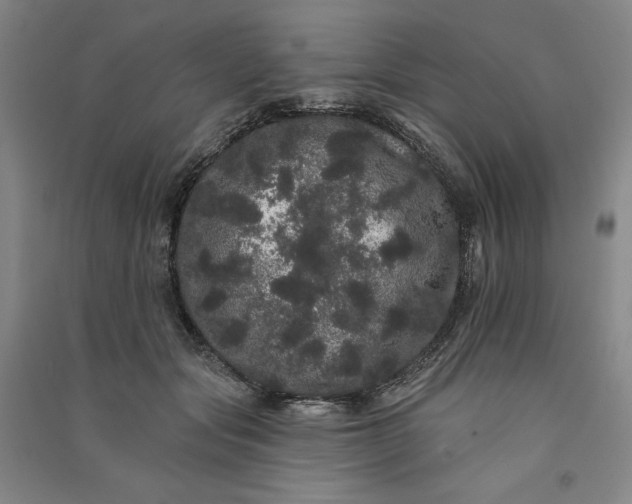 X0000091090557200708201500