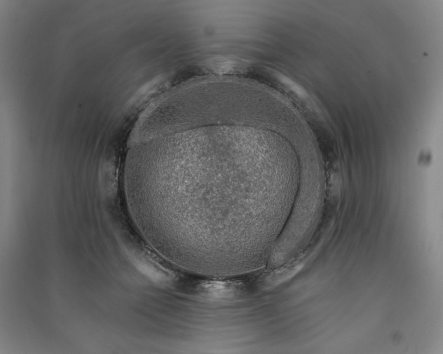 X0000091090558200708201500