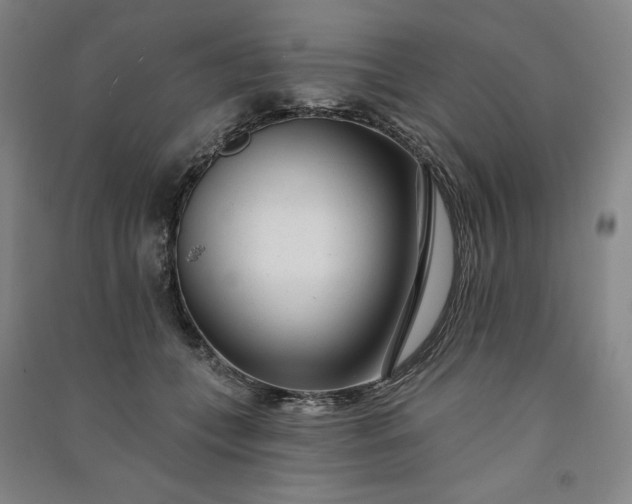 X0000091090559200708201500