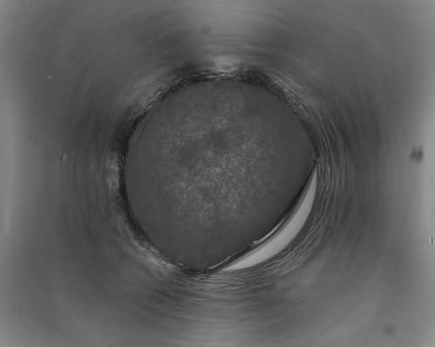 X0000091090562200708201500