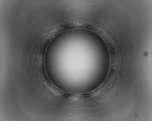 X0000091090563200708201500