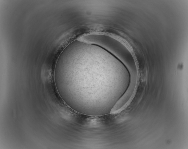 X0000091090564200708201500