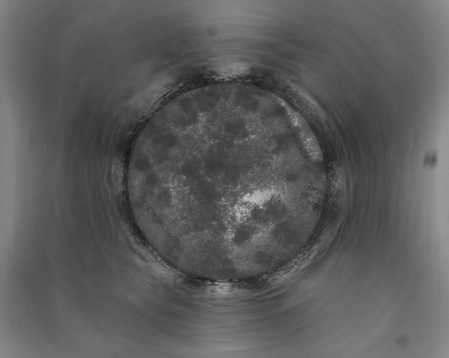 X0000091090565200708201500