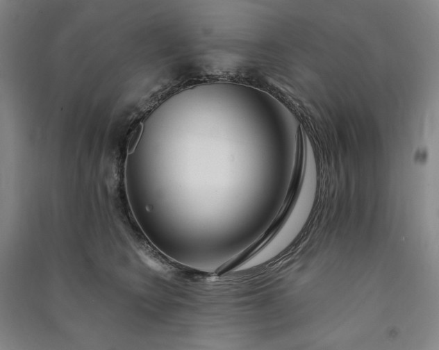 X0000091090566200708201500