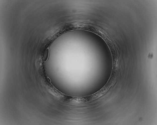 X0000091090567200708201500