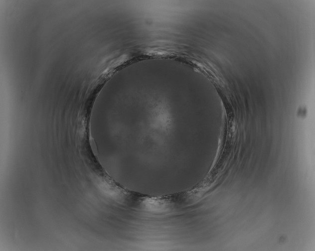 X0000091090568200708201500