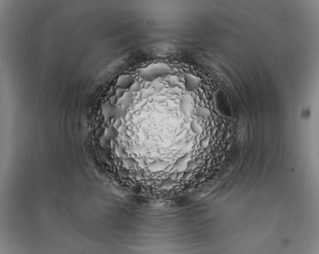 X0000091090569200708201500