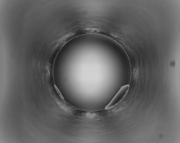 X0000091090570200708201500