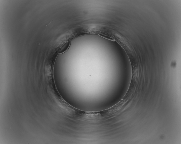 X0000091090571200708201500