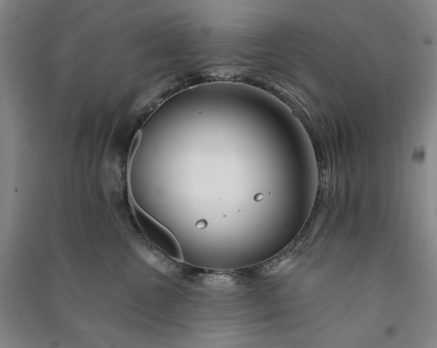 X0000091090572200708201500